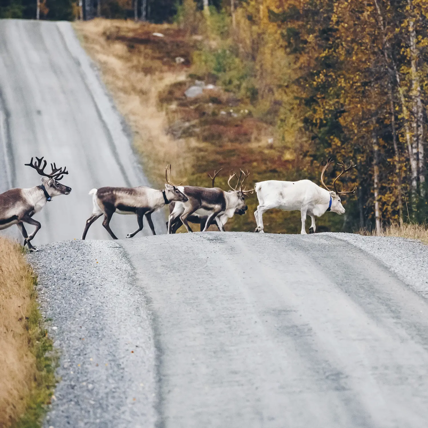 Sommerexpedition 2026 - Bild 1