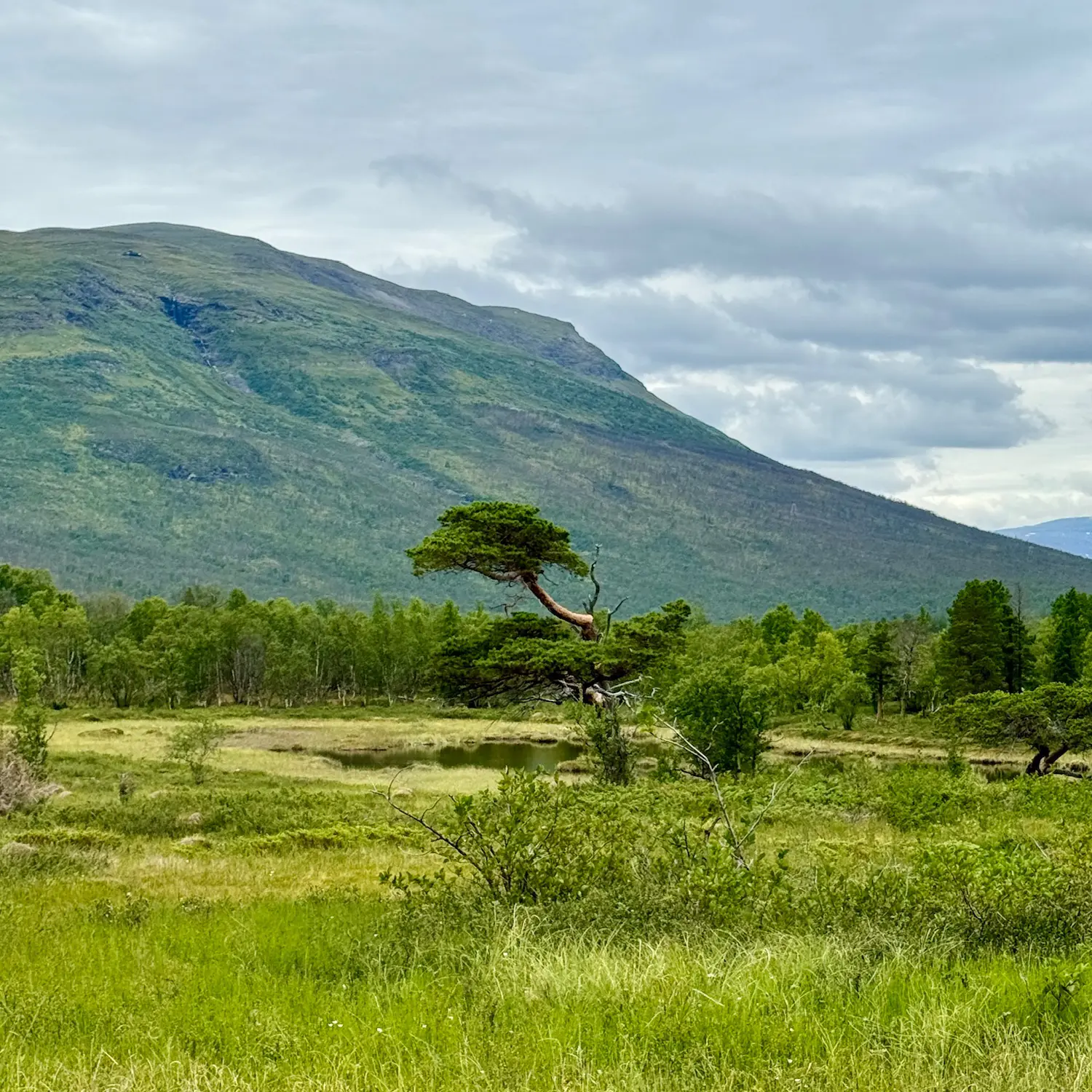 Sommerexpedition 2026 - Bild 5